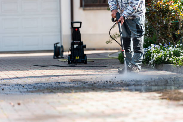 Best Exterior Home Cleaning  in Virden, IL