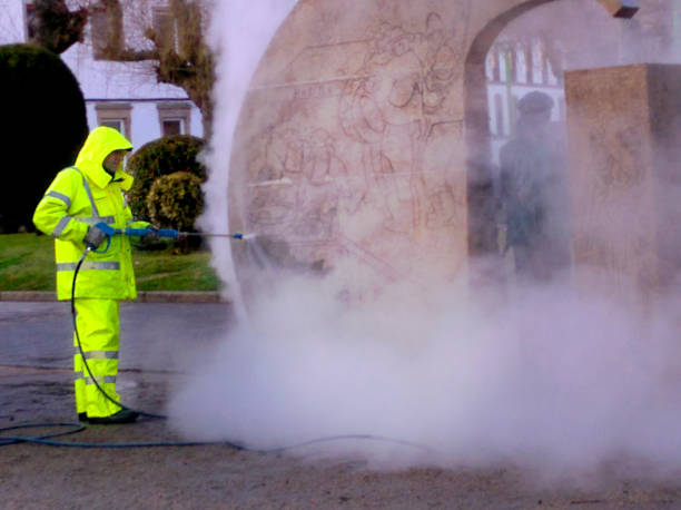Best Best Pressure Washing Companies  in Virden, IL