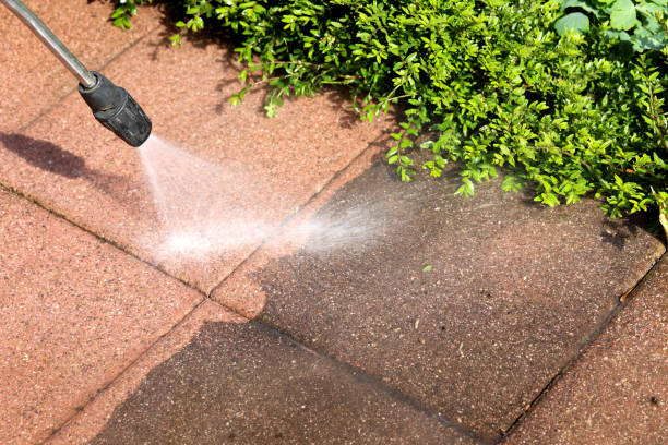 Best Fence Pressure Washing  in Virden, IL